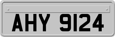AHY9124