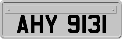 AHY9131