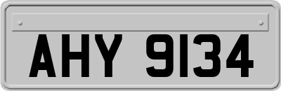 AHY9134
