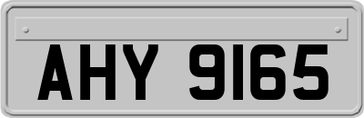 AHY9165