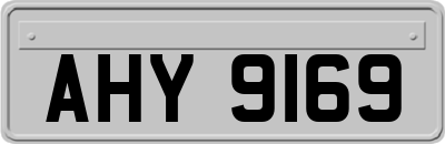 AHY9169