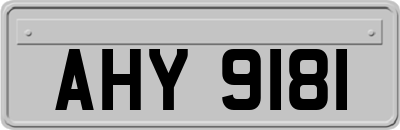 AHY9181