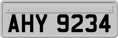 AHY9234