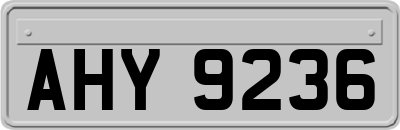AHY9236