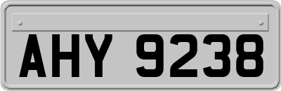 AHY9238