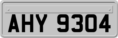 AHY9304