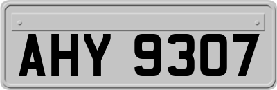 AHY9307