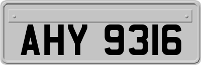AHY9316