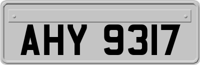 AHY9317