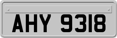 AHY9318