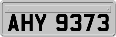 AHY9373