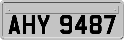 AHY9487