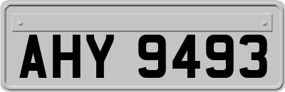 AHY9493
