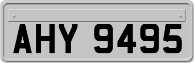 AHY9495