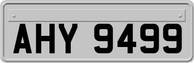 AHY9499