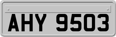 AHY9503