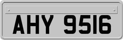 AHY9516