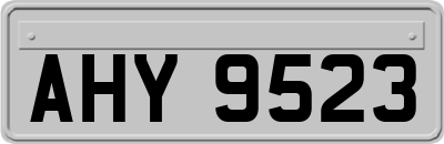 AHY9523