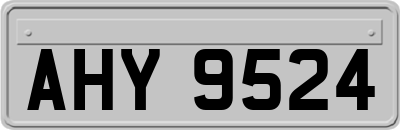 AHY9524