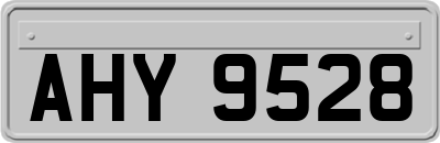 AHY9528