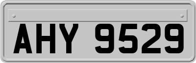 AHY9529