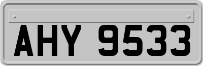 AHY9533