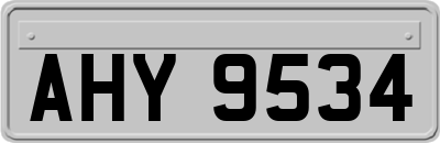 AHY9534