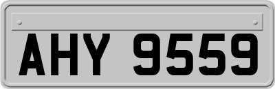 AHY9559