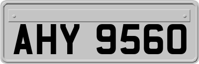 AHY9560