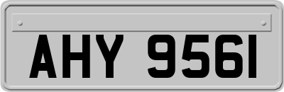 AHY9561