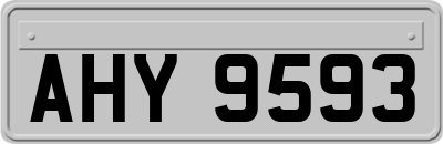 AHY9593