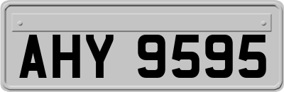 AHY9595