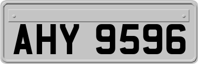 AHY9596