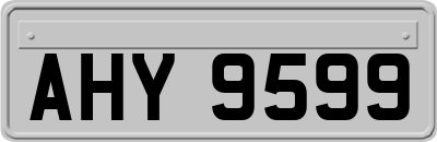 AHY9599