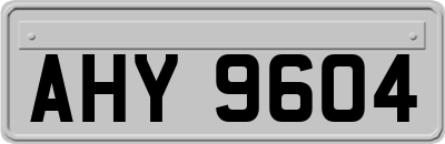 AHY9604
