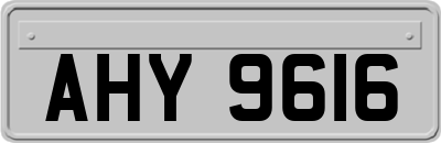 AHY9616
