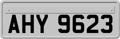 AHY9623
