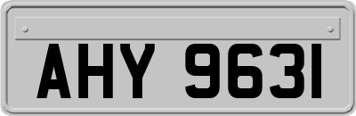 AHY9631