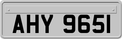 AHY9651