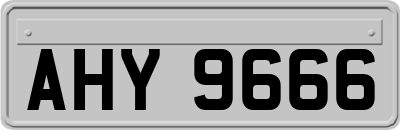 AHY9666