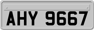 AHY9667