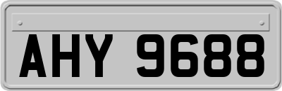 AHY9688