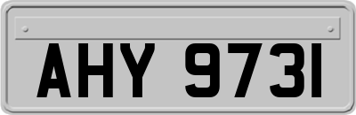 AHY9731