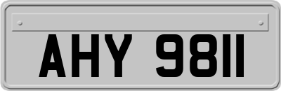 AHY9811
