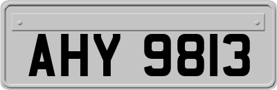 AHY9813