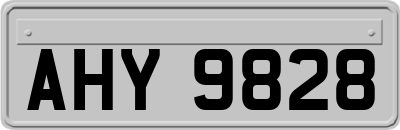 AHY9828