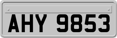 AHY9853