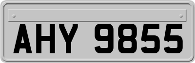AHY9855