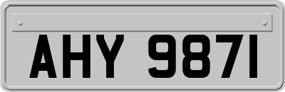 AHY9871