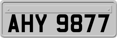 AHY9877